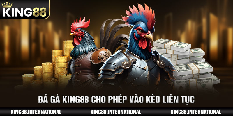 Đá gà King88 cho phép vào kèo liên tục